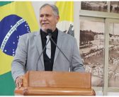 Queda de árvore na Rua dos Artistas acende alerta e vereador Urias Pingarilho propõe vistoria técnica nas árvores do município