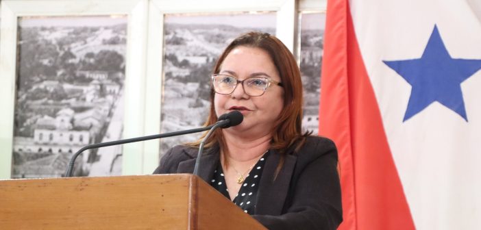 Audiência Pública vai debater atualização do PCCS e valorização dos profissionais da saúde em Santarém
